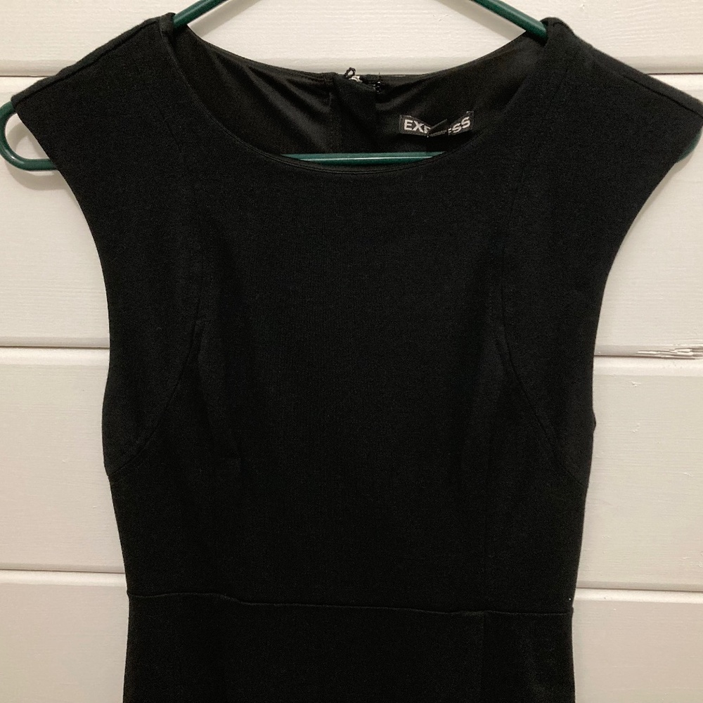 Express Black Zip Back Dress